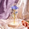 Beauty and The Beast Preserved Roses In Glass with LED Light