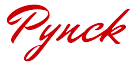 Pynck Shop Logo Transparent